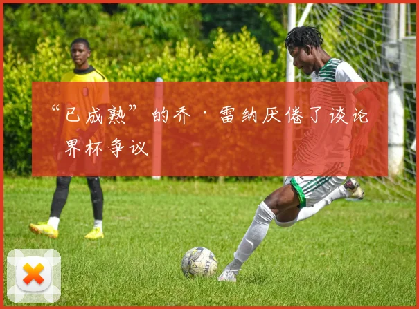 “已成熟”的乔·雷纳厌倦了谈论世界杯争议